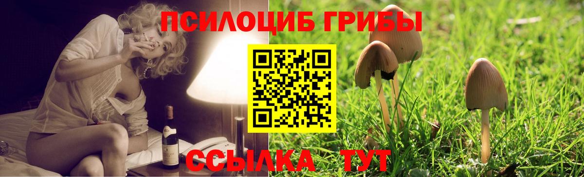 Галлюциногенные грибы Psilocybine cubensis  Псилоцибиновые грибы MAGIC MUSHROOMS  Вход с VPN  Коркино 