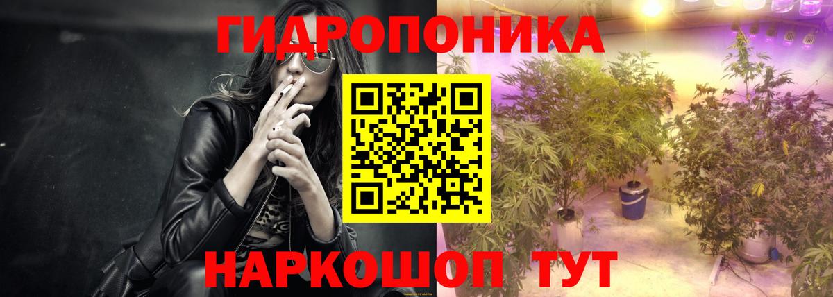 Бошки марихуана OG Kush  Вход с VPN  Коркино  Конопля план 